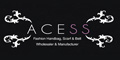 Acess logo