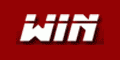 WinInvesting.com logo