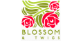 Blossom and Twigs logo