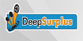 Deep Surplus logo