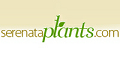 Serenata Plants logo