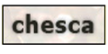 Chesca Direct logo