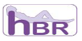 HBR Group logo